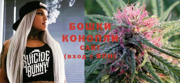 винт Баксан