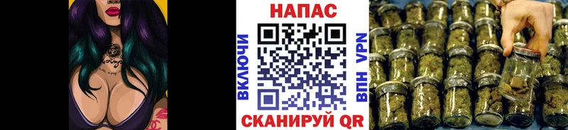 Марихуана OG Kush  Гороховец 